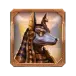 icon 6