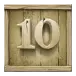 icon 10