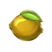 icon 10