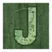 icon 9
