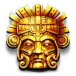 icon 5