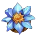 icon 6