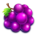 icon 4