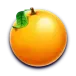 icon 6