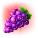 icon 4