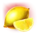 icon 7