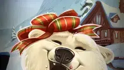 Polar Paws