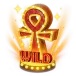 icon 10