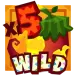 icon 1