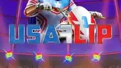 USA Flip