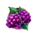 icon 6