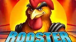 Rooster Fury