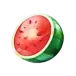 icon 5