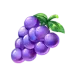 icon 6