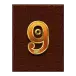 icon 10