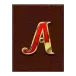 icon 5