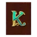 icon 6
