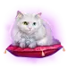 icon 3