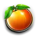 icon 7