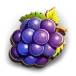 icon 5