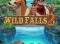Wild Falls 2