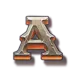 icon 5