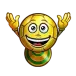 icon 1