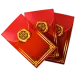 icon 4