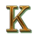 icon 7