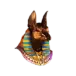 icon 3