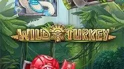 Wild Turkey