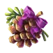 icon 5