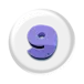 icon 13