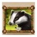 icon 3