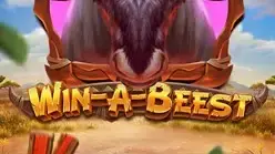Win A Beest